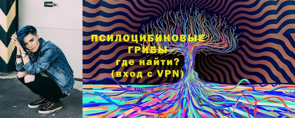 Альфа ПВП Алексин