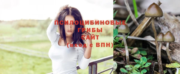 шишки Алексеевка