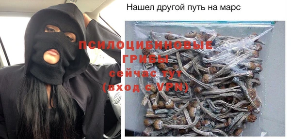 шишки Алексеевка