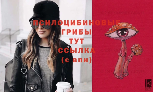 Альфа ПВП Алексин