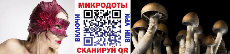 закладка Монино Галлюциногенные грибы прущие грибы